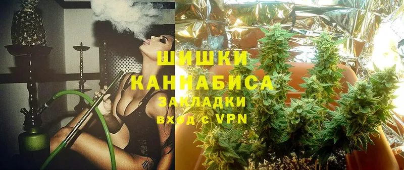 закладка  Ноябрьск  МЕГА ссылка  МАРИХУАНА SATIVA & INDICA 